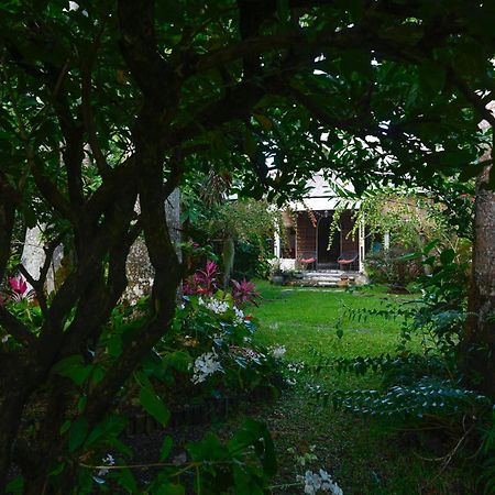 Le Medinilla Bed & Breakfast Bras-Panon Екстериор снимка